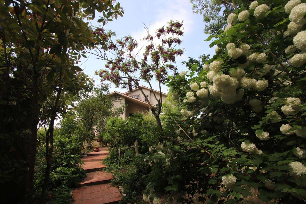 לינה וארוחת בוקר סאביו די רוונה La Casa Nel Bosco מראה חיצוני תמונה