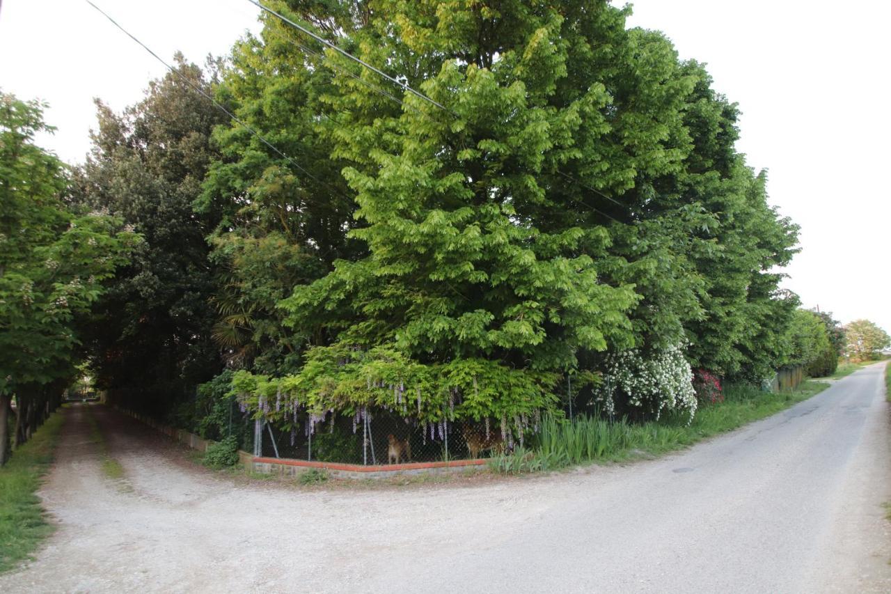 לינה וארוחת בוקר סאביו די רוונה La Casa Nel Bosco מראה חיצוני תמונה