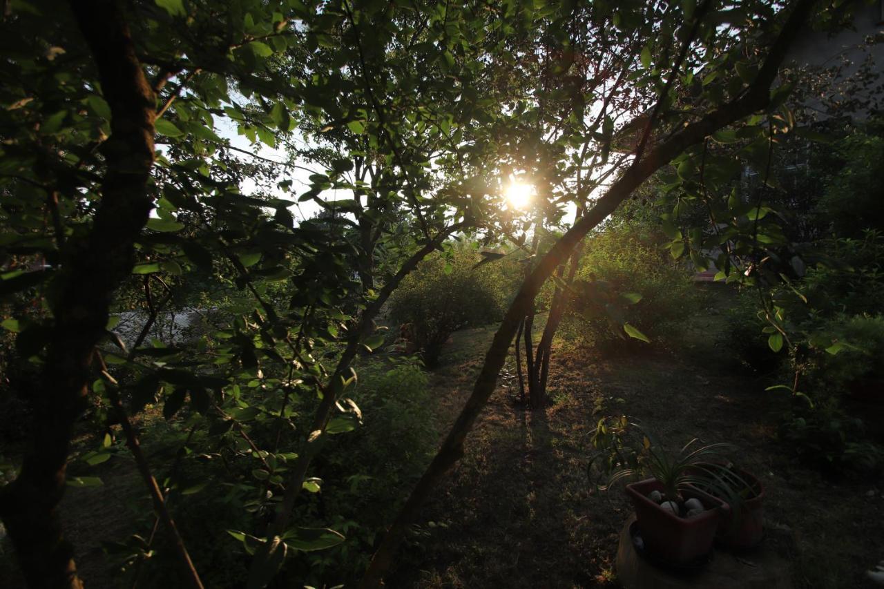 לינה וארוחת בוקר סאביו די רוונה La Casa Nel Bosco מראה חיצוני תמונה
